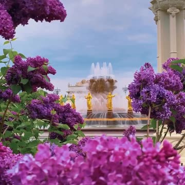 15 июня, в Москве начнется «настоящее лето».