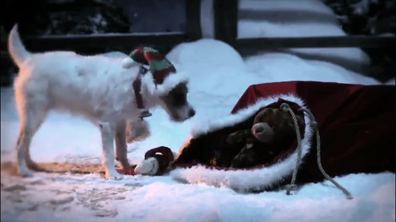 Cachorrinho ajudante do Papai Noel