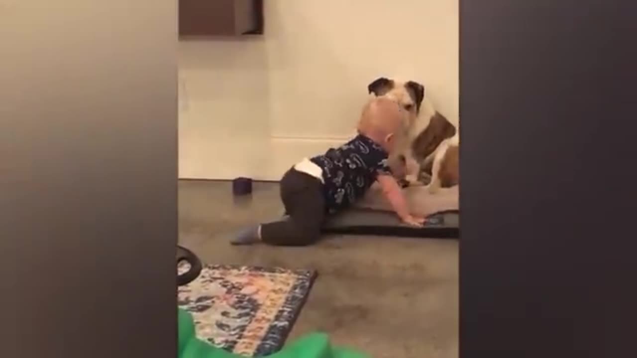 Funny cute babies videos and dog together 😂🤩