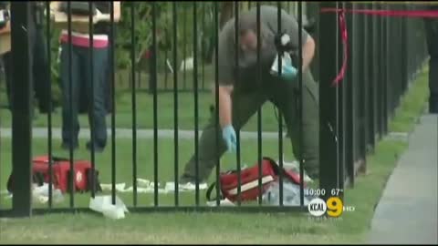 Anaheim Cops Are Not Your Friends