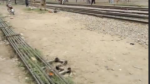 Train kills a biker on track