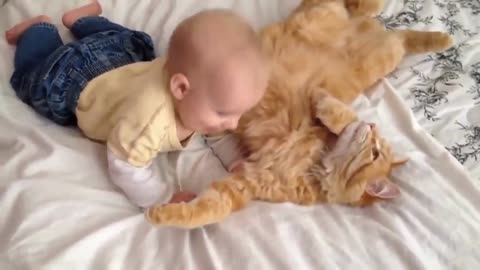 Cute baby playing with cat | Funny baby and pets Cat