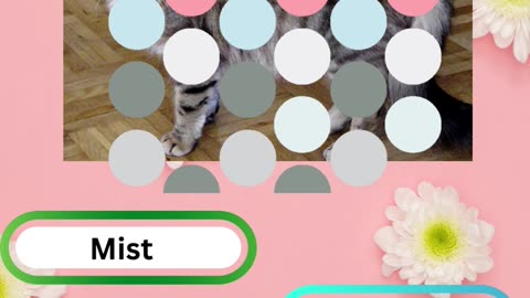 Purrfect Pets Quiz My Furry Friends Challenge 5