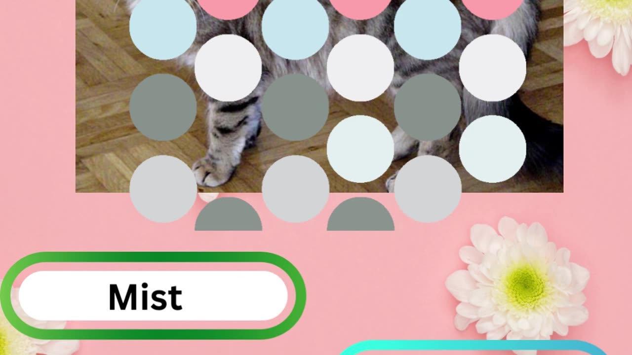 Purrfect Pets Quiz My Furry Friends Challenge 5