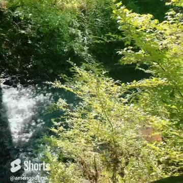 420 vibes peace #nature #shorts