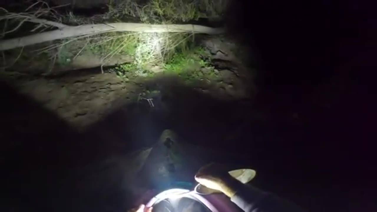 Bohemian Grove Infiltration