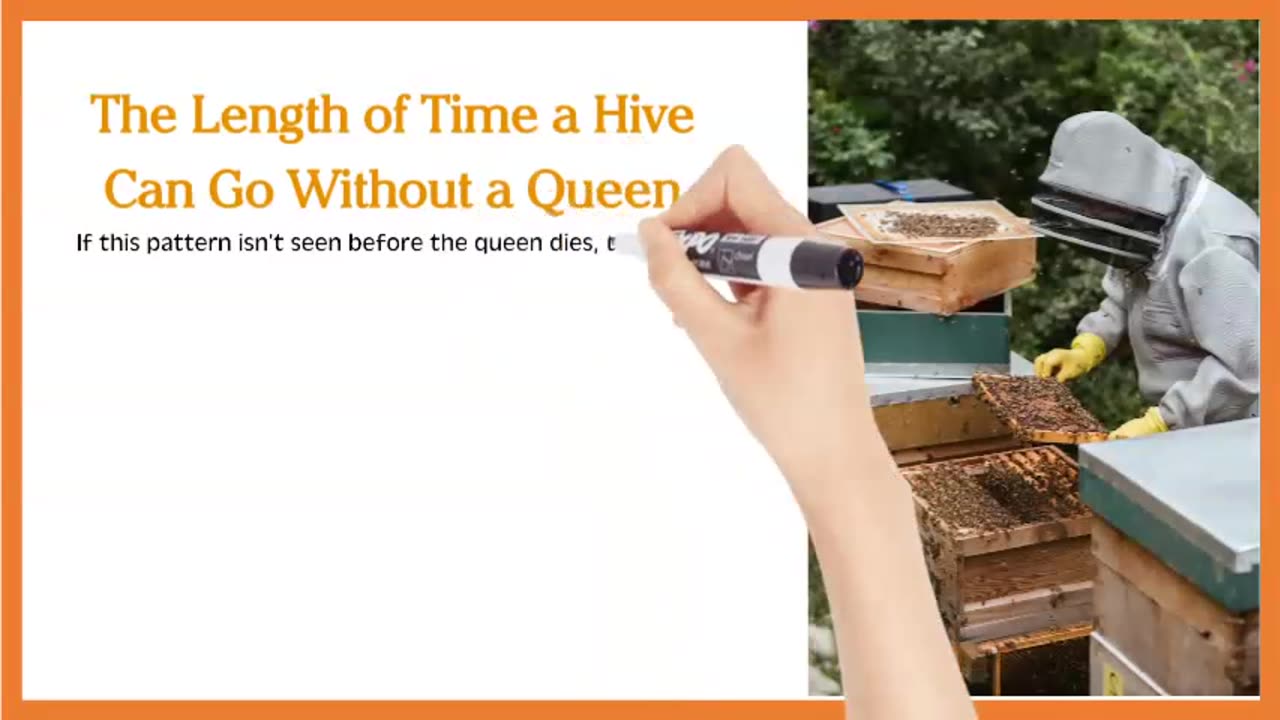 What is a Hopelessly Queenless Hive?