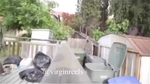 How do you think you can stop laughing after this? It won't work for you