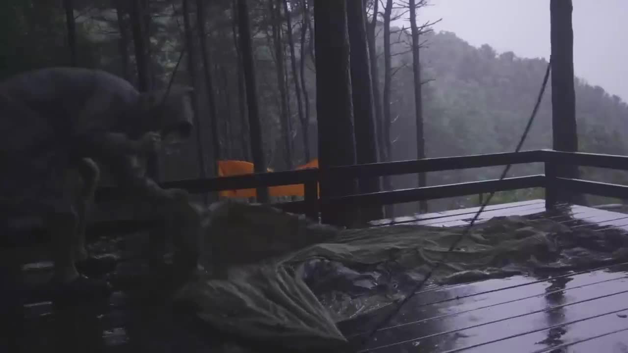 Outdoor camping in the rain, the sound of rain can really help sleep