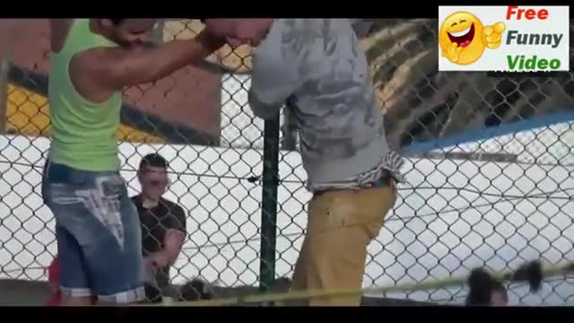 Bull Fighting Funny Videos