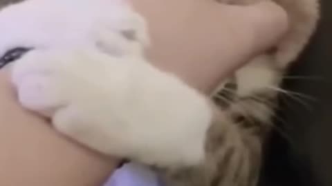 Dog & Cat Funny videos