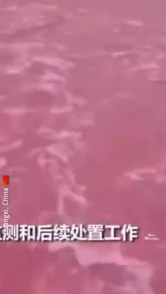 RIS VERMELHOS NA CHINA