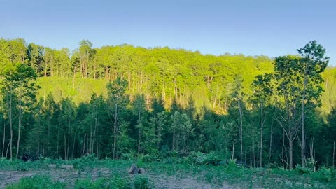 Beautiful view