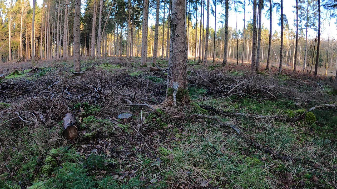 Hiking through the woods . Speedlapse GoPro. 18th Jan 2023