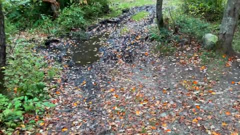 The Beauty of Peak Fall Foliage 🍁 Autumn in New England Part 1-12