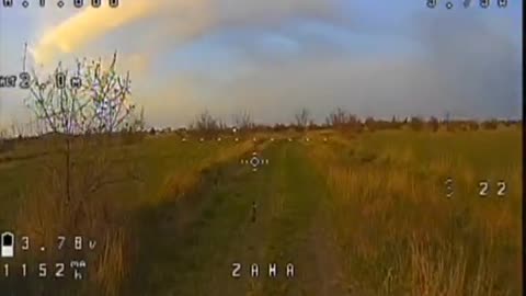 Dog(?) Running Along with a Drone