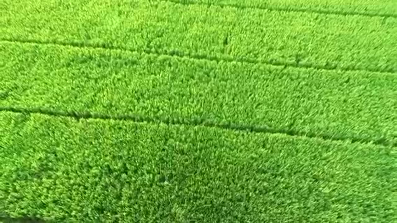 Beautiful Village Life Landscape