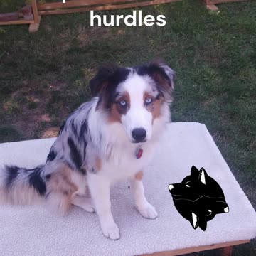 Cable's training day cut 2