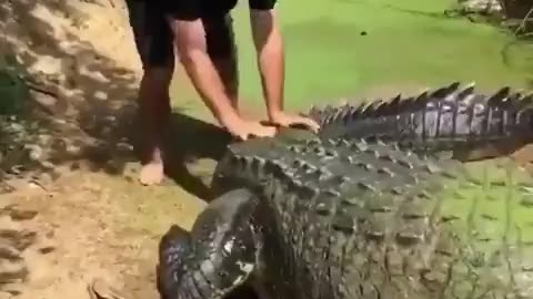 Florida Man is Fearless
