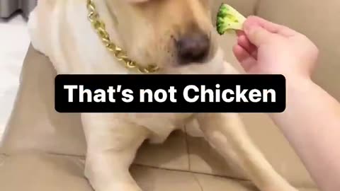 WTF!