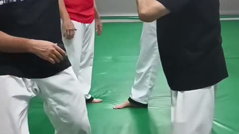 Hapkido