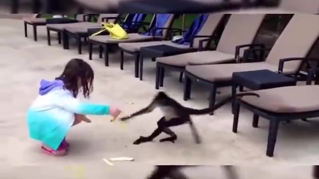 Funny animals video 🤣🤣