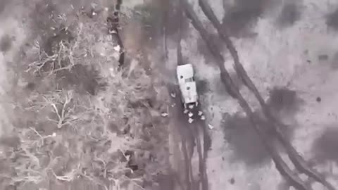 +18 Disturbing Video showing dead and wounded