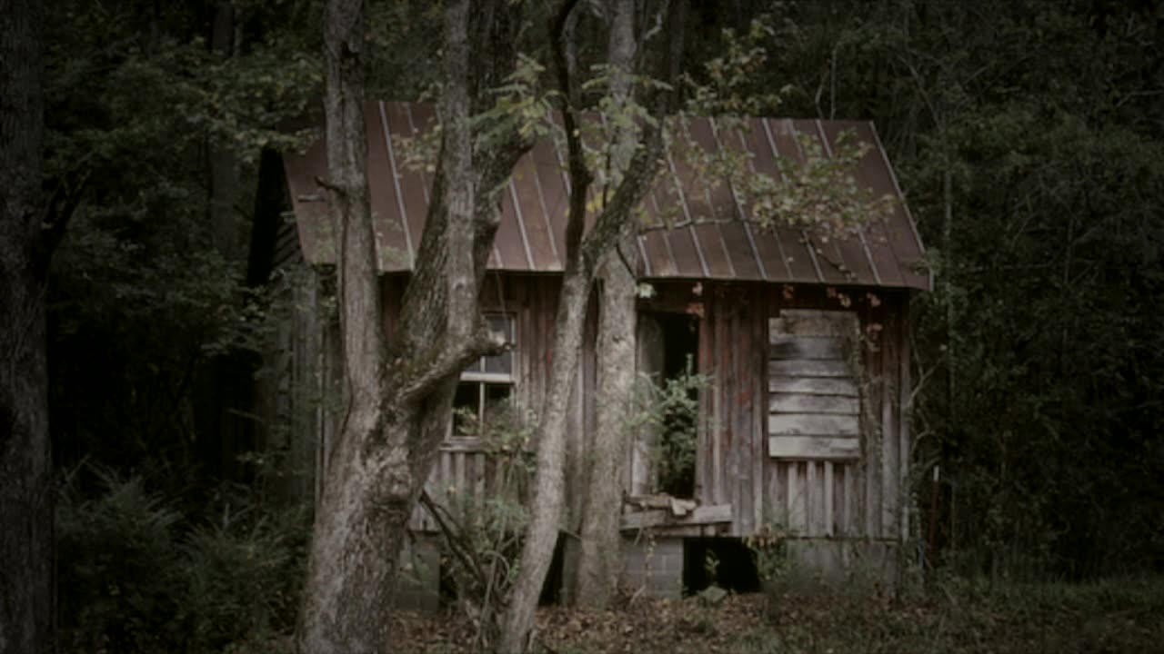 TRUE Scary Stories from Reddit to Fuel Your Nightmares Volume XII