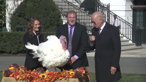 Biden Gets BIZARRE During Turkey Pardon