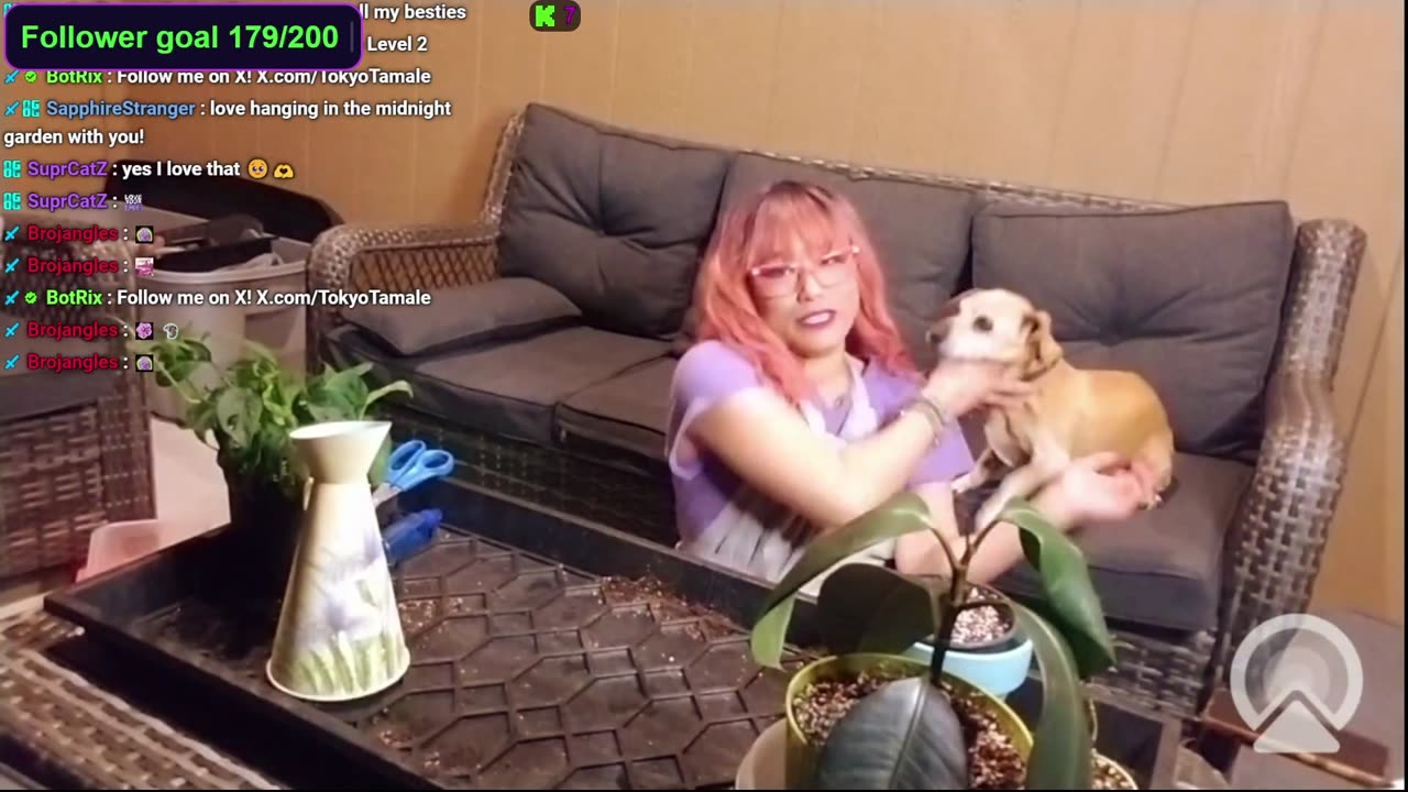 Dobby Snuggles during first plant stream