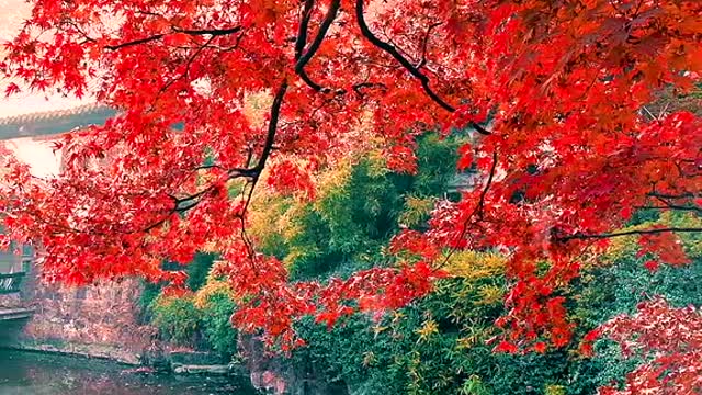 Later, we will gradually understand that it is the normal life
