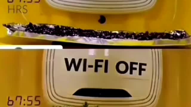 ⚠️IN THIS VIDEO YOU SEE CLEARLY THE EFFECTS OF EMF WIFI RADIATION ON
