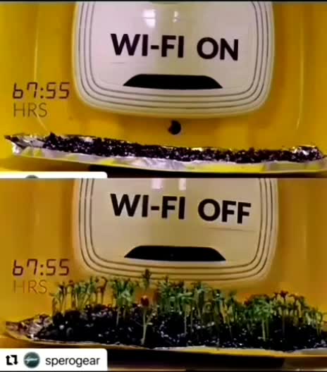 ⚠️IN THIS VIDEO YOU SEE CLEARLY THE EFFECTS OF EMF WIFI RADIATION ON