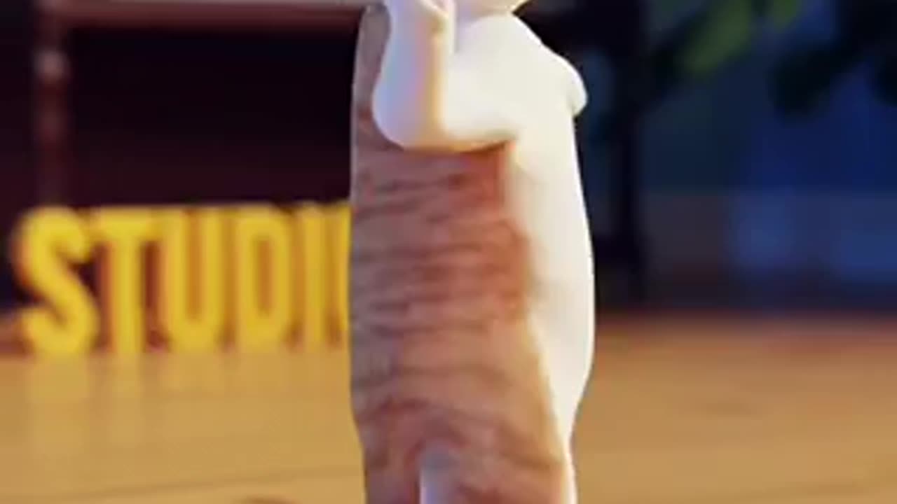 Cat dance