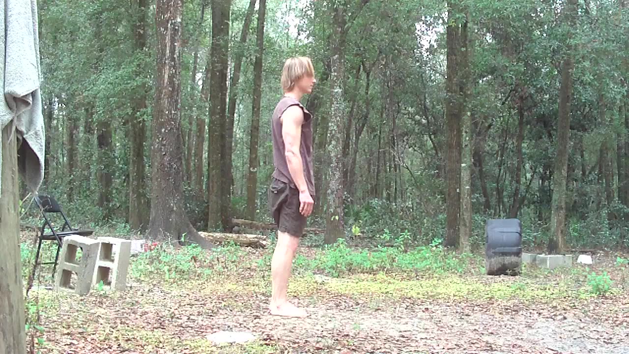Regular Push Up Exercise For The 4 Workout