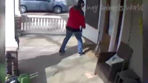 Funny video must watch. To make smile on your face