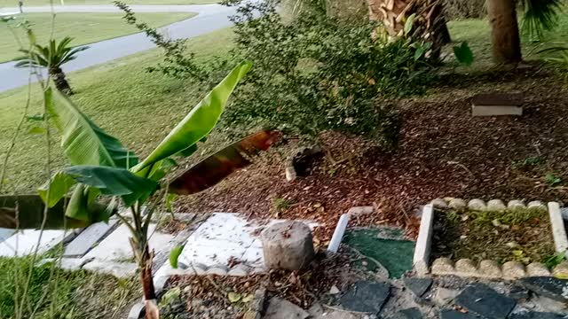 Things looking great here