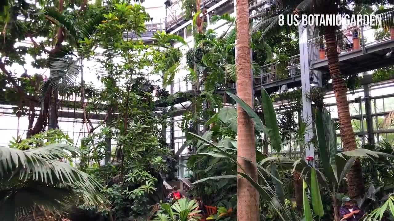 Things to do in WASHINGTON, D.C. | DC Travel Guide