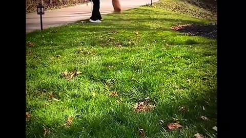 A heartwarming sentiment #shorts #shortvideo #video #virals #videoviral