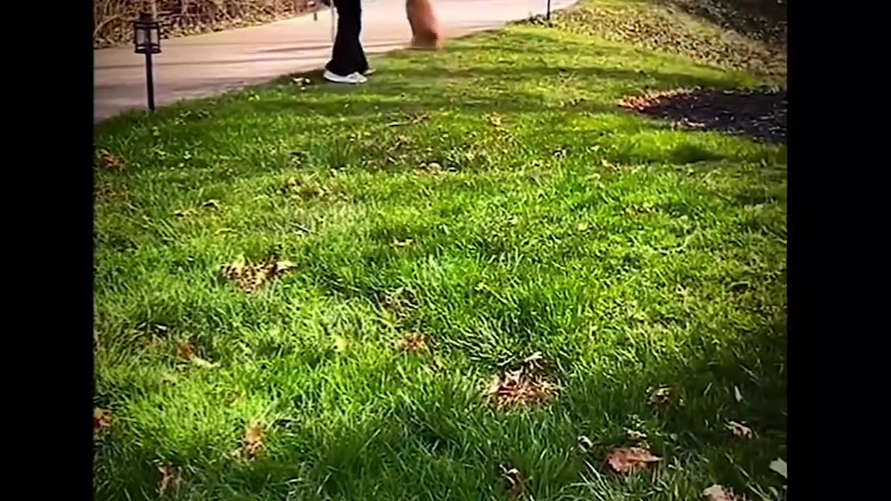 A heartwarming sentiment #shorts #shortvideo #video #virals #videoviral