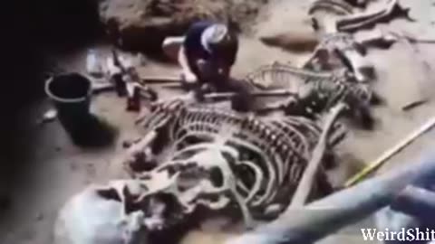 GIANT EXCAVATION