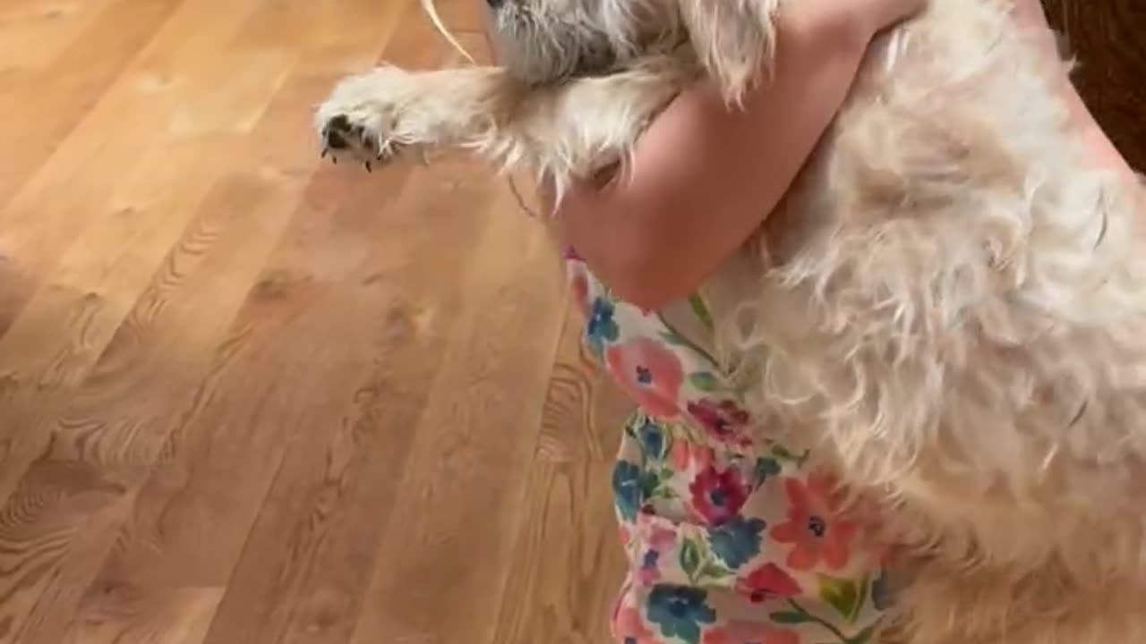My granddaughter with an Irish Whoodle Puppy