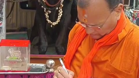 A cow with two heads found in India 🇮🇳