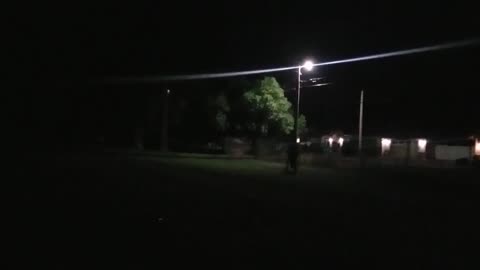 Recap of Sillycon Valley Sploooge Crew Begging for Ped Donos 🤣🤣😅