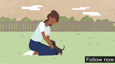 How to take care of your puppy | Important tips
