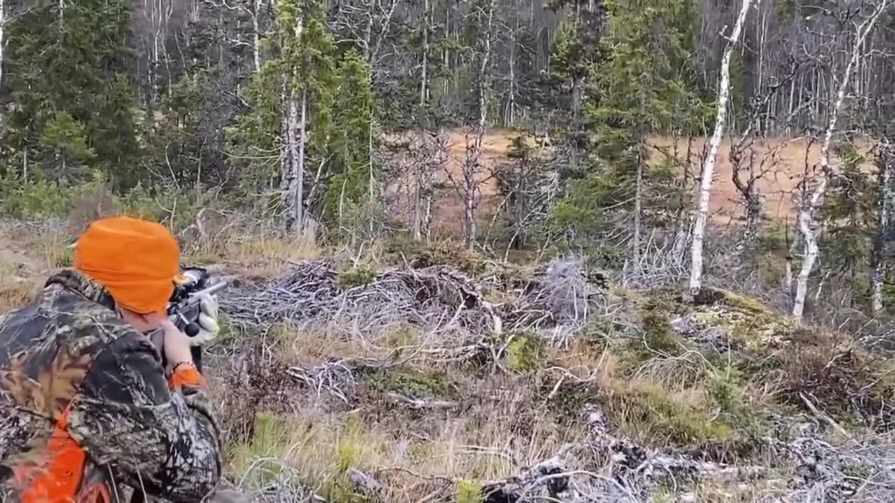 Moose attacks hunter in a extremely close call