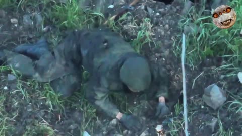 Dropping Grenades on Russian Soldiers(Brutal)