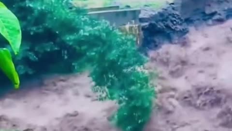 Very good video
