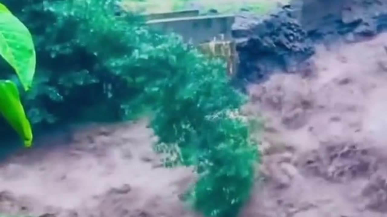Very good video