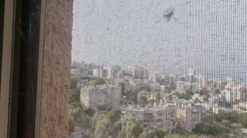 Burning love and desire for You - a Nanach song of chaishek